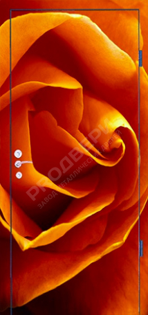 Фотография «Дверь с фотопечатью №11»